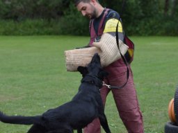 01.07.2023 offenes training 14